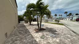 Holiday Out 461 - Image 2