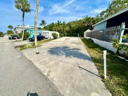 Nettles Island 2008 - Image 3