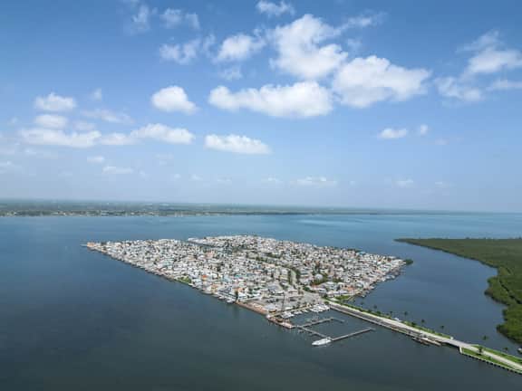 Nettles Island 0108 - Image 5