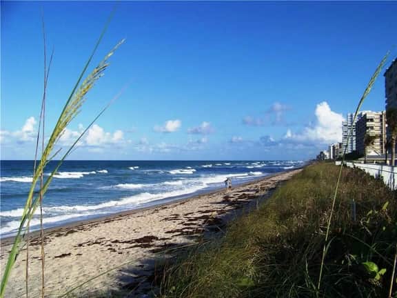 Nettles Island 0338 - Image 4